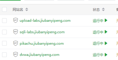 记录frp搭建过程-玖伴一鹏